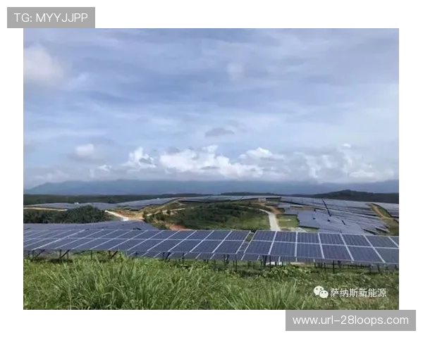 意甲国际环保项目,跨国合作倡议 意甲国际环保项目,跨国合作倡议